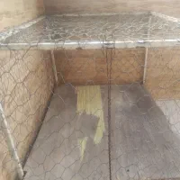 قفسه پرنده بزرگ|لوازم جانبی حیوانات|ایلام, |دیوار