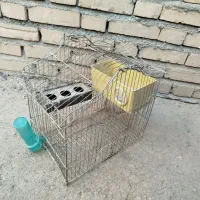 قفس پرندگان طوطی برزیلی