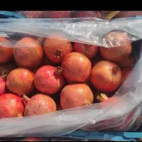 فروش عمده انار ملس ساوه ممتاز|خوردنی و آشامیدنی|گرگان, |دیوار