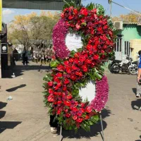 کد17عروسی تبریک جشن افتتاحیه تاج گل جام دسته سبد|گل و گیاه طبیعی|تهران, سعادتآباد|دیوار