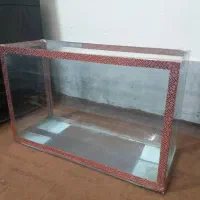 ماهی و آکواریوم