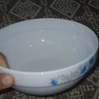 کاسه و سینی ،دیس