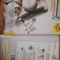 گسسته  هندسه