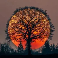 ۱۶۰ متر / مسکونی / سند تک برگ / باقراباد