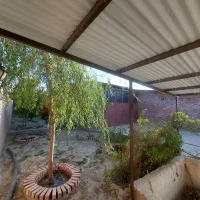 خانه باغ،سوله، جاده کنار تالار پاسارگاد|فروش دفتر صنعتی، کشاورزی، تجاری|بافت, |دیوار