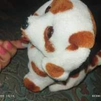 عروسک