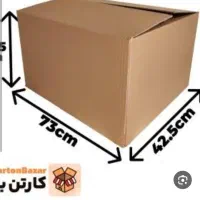 کارتونچی کارتون اسباب کشی کارتون رگال دار