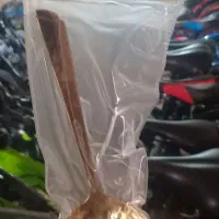 کفکیر ملاغه دونه ای۱۲۵ هزار|ظروف سرو و پذیرایی|سراب, |دیوار