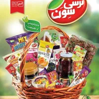 شرکت پخش پیشگامان کرمان