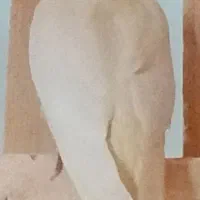 عروس  هلندی زیبا