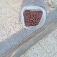 الو خورشتی گردو پیاز محلی