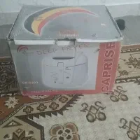 سرخ کن درحدنوع