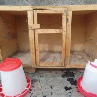 قفس چوبی