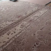 جفت قالی ۱۲ متری ۵۰۰شانه