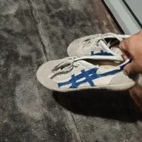 کفش سالنی تایگر|کیف، کفش، کمربند|سردشت, |دیوار