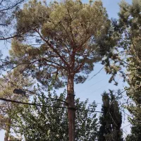 خدمات کشاورزی