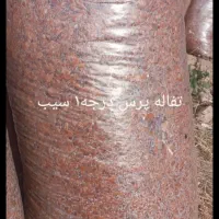 تفاله چغندر تفاله سیب علوفه ذرت|لوازم جانبی حیوانات|سراب, |دیوار