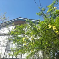 سوییت تمیز و امن مناسب خانواده حوالی هزارسنگر|اجارهٔ کوتاهمدت آپارتمان و سوئیت|آمل, |دیوار