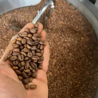 دون قهوه عمده