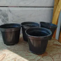 گلدان پلاستیکی