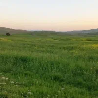 ب یک خانم جهت ادمینی