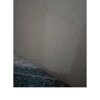 کارتن ال جی