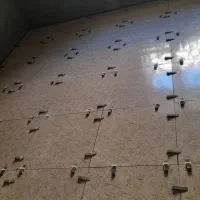 استاد سرامیک کار