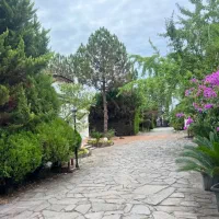 پیاده تا ساحل/نشتارود/شهرکی/سند تک برگ/شرایطی