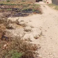 زمین باغ شهری|فروش زمین و ملک کلنگی|کوار, |دیوار