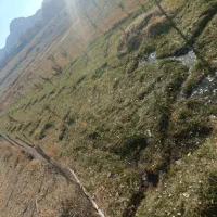 500متر زمین در روستای خوش اب وهوای گوغر|فروش زمین و ملک کلنگی|بافت, |دیوار