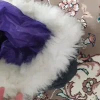 کاپشن‌دخترانه‌سالم|کفش و لباس بچه|دورود, |دیوار