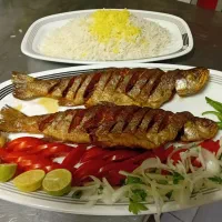 سالنکار خانم
