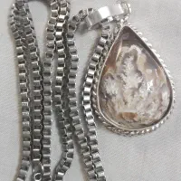 شجر گردنی شکوفه