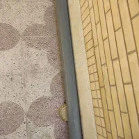 لوله پولیکا