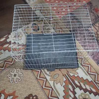 قفس قناری|لوازم جانبی حیوانات|کرمان, |دیوار