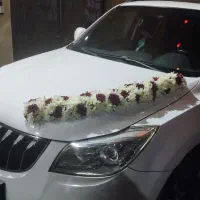 گل ارایی ماشین عروس در محل|خدمات پذیرایی، مراسم|کرج, استاندارد|دیوار