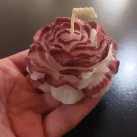 شمع آلاله|صنایع دستی و سایر لوازم تزئینی|کلاردشت, |دیوار