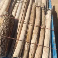 خریدار چوب کار و زغالی