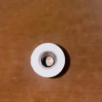 رول‌ کارتخوان