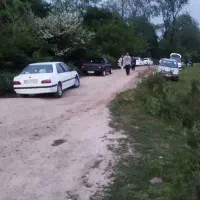 نیازفوری به تعدادی سواری مدل بالا جهت کار در آژانس