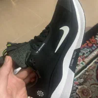 کفش خارجی|کیف، کفش، کمربند|باغستان, |دیوار