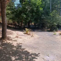 سرمایهگذاری مطمئن و پرسود در قلب منطقه ارنگه|فروش زمین و ملک کلنگی|تهران, زاهد گیلانی|دیوار