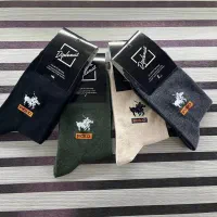 تولیدی جوراب، پاوویس گرگان|لباس|کردکوی, |دیوار