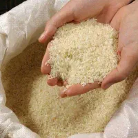 برنج طارم و سرلاشه هاشمی(مستقیم از کشاورز)