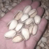 مغز پسته و پسته کله قوچی ارگانیک ۱۰۰٪|خوردنی و آشامیدنی|تهران, کرمان|دیوار