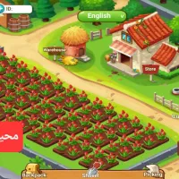 درآمد دلاری روزانه تا ۲ میلیون کاملا واقعی