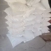 کودسفیدپردیس