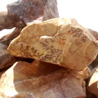 عقیق شجر جاسپر|جواهرات|اردبیل, |دیوار