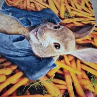 فرش|فرش|مریوان, |دیوار