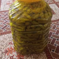 ترشی نری بیلهر